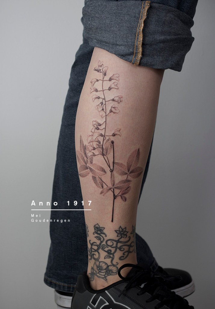 handpoke tattoo op de buitenkant van de rechter onderbeen uit het anno_1917 project. De tattoo is van een gedroogde goudenregen. Plant informatie op de afbeelding: goudenregen, mei