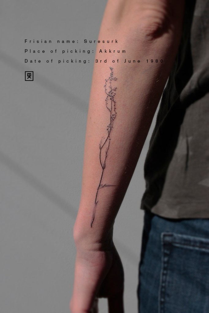 handpoke tattoo op de buitenkant van de linker onderarm uit het Filigree project. De tattoo is ongeveer 15 centimeter groot. Plant informatie op de afbeelding: friese naam: Suresurk. Vindplaats: Akkrum. Datum: 3 juni 1980