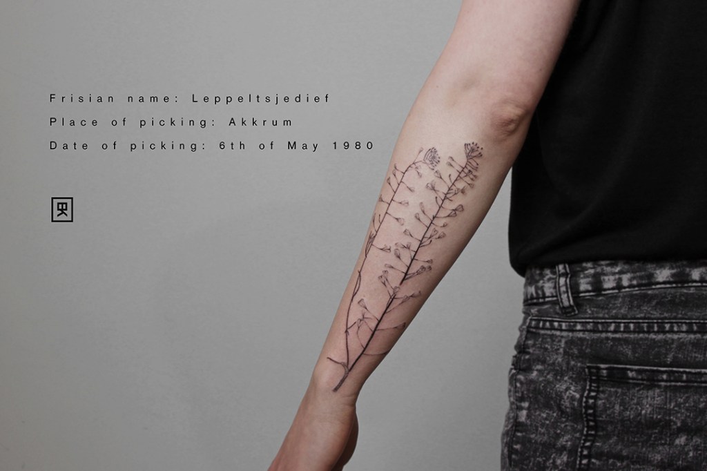 handpoke tattoo op de buitenkant van de linker onderarm uit het Filigree project. De tattoo is ongeveer 15 centimeter groot. Plant informatie op de afbeelding: friese naam: leppeltsjedief. Vindplaats: Akkrum. Datum: 6 mei 1980