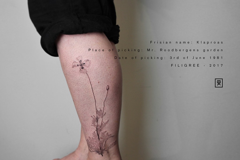 handpoke tattoo op de buitenkant van het linker onderbeen uit het Filigree project. De tattoo is ongeveer 25 centimeter groot. Plant informatie op de afbeelding: friese naam: Klaproas. Vindplaats: Bij Mr Roodbergen in de tuin. Datum: 3 juni 1980