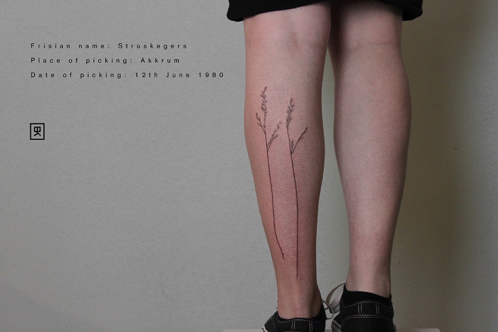 handpoke tattoo op de linker kuit uit het Filigree project. De tattoo is ongeveer 30 centimeter groot. Plant informatie op de afbeelding: friese naam: Struskegers. Vindplaats: Akkrum. Datum: 12 juni 1980