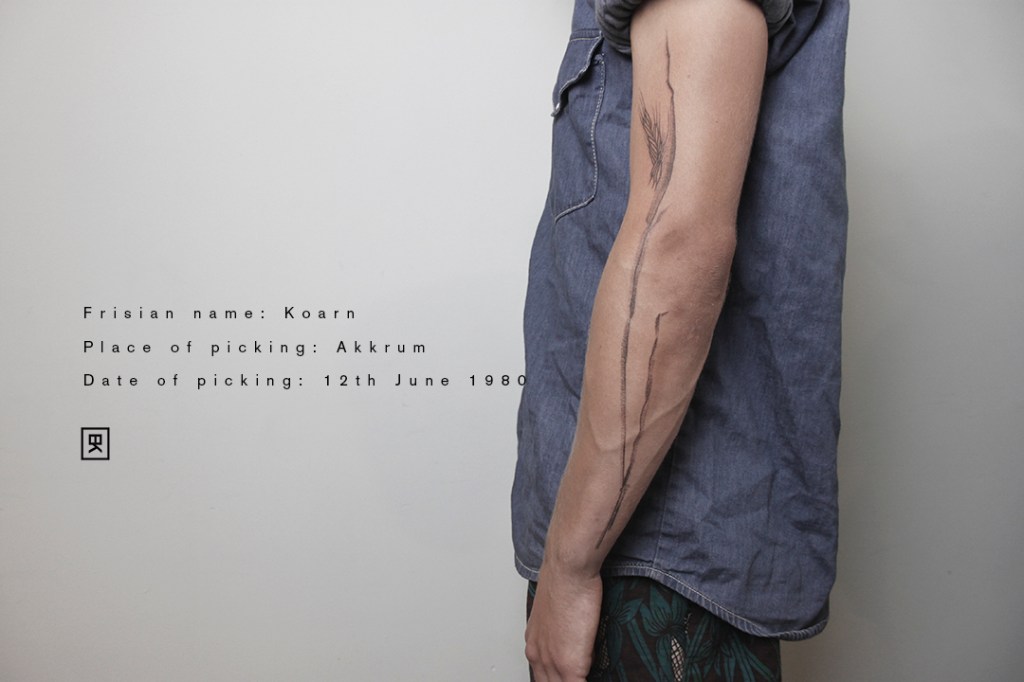 handpoke tattoo op de buitenkant van de linker uit het Filigree project. De tattoo is ongeveer 45 centimeter groot en gaat vanaf de pols naar naar de bovenarm. Plant informatie op de afbeelding: friese naam: Koarn. Vindplaats: Akkrum. Datum: 12 juni 1980