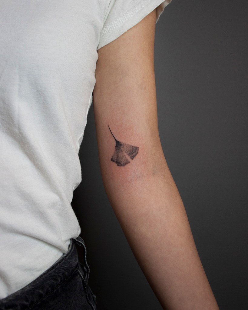handpoke tattoo van een ginkgo blad op de binnenkant van de linker bovenarm, tussen de bicep en de elleboogsplooi. Het blad ziet er breekbaar uit met veel gradaties