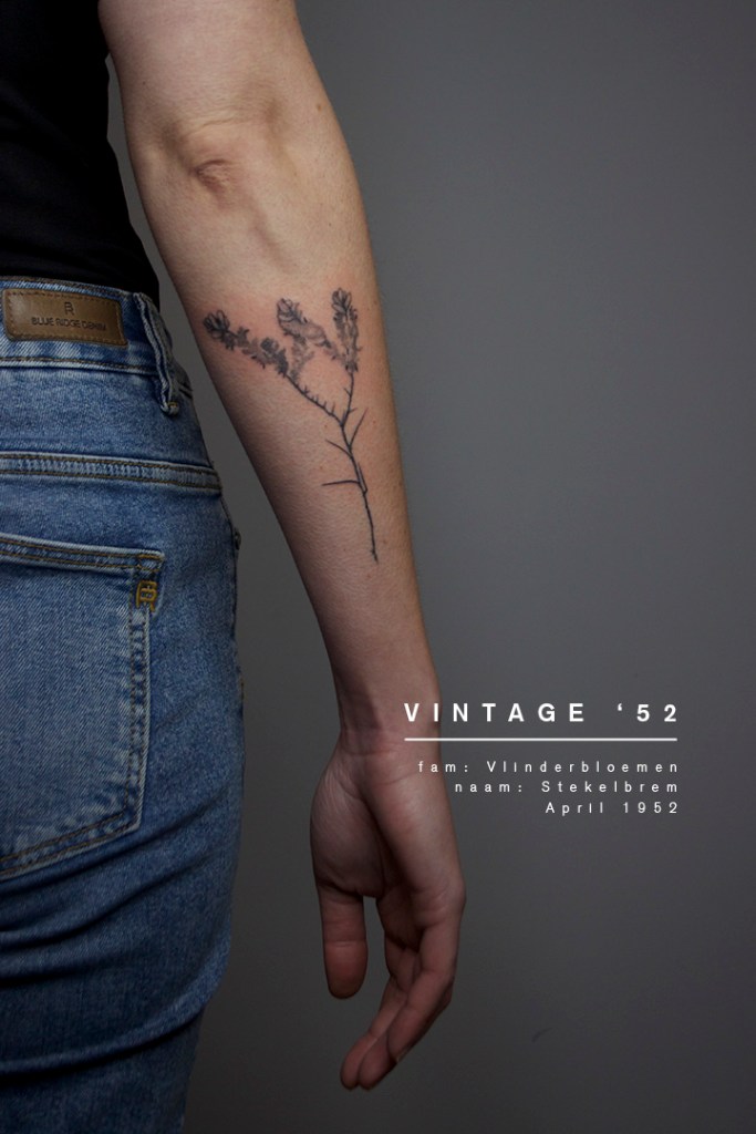 handpoke tattoo van een gedroogde plant geplukt in 1952. De tattoo is op de rechter onderarm geplaatst. 